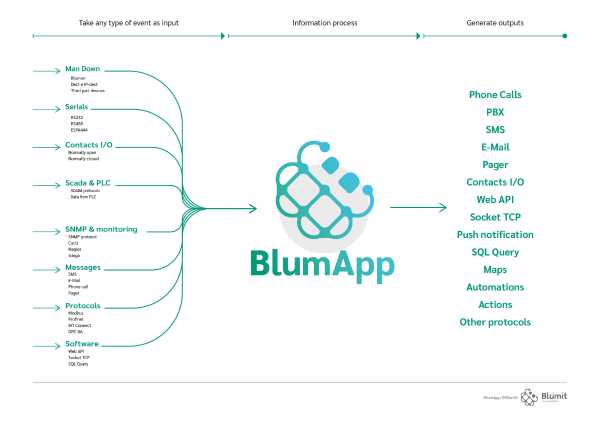 BlumApp.jpg