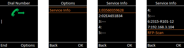 ServiceInfoWithIPAddress.png